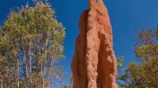 Biomimicry Termite Mound Architecture [upl. by Hnao16]