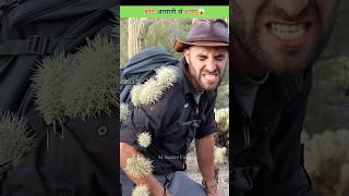 Cactus कांटे आसानी से हटाएं😱 [upl. by Signe640]