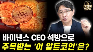 알트코인 대세상승장 이끌 이 코인은ㅣ알트코인 심층분석 박작가의 크립토 연구소 [upl. by Aicener953]