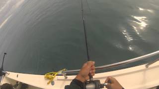 Fishing Halibut in Yakutat Bay Alaska [upl. by Eisserc716]