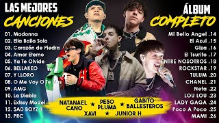 Peso Pluma Natanael Cano Junior H Xavi Gabito 🔥 Grandes Éxitos Mix 🔥 LAS MEJORES CANCIONES 2024 [upl. by Jolyn]