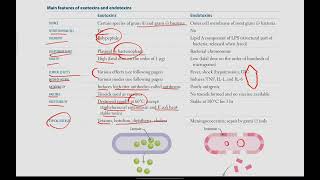 Exotoxins and Endotoxins Bacteria with exotoxins  Microbiology  6  First Aid USMLE in UrduHindi [upl. by Malissia]