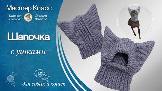 Шапочка с ушками для собак и кошек DIY Hat for dogs and cats [upl. by Enhpad87]