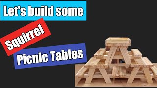 Lets Build a Squirrel Table [upl. by Cannice]