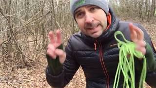 TUTO Nœud tendeur  Tout savoir pour le bivouac  bushcraft [upl. by Akerdnuhs]