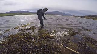 Durness Fly Fishing Demo Roll 2017 [upl. by Neirda814]