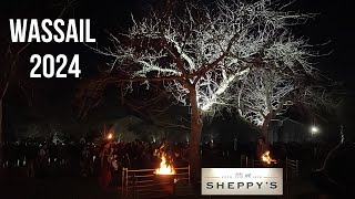 Wassail 2024  Sheppys Cider Orchards  Somerset [upl. by Sara-Ann837]