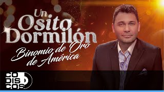 Un Osito Dormilón Binomio De Oro De América  Video Letra [upl. by Ahsenwahs743]