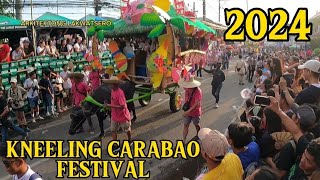 PULILAN KNEELING CARABAO FESTIVAL 2024 ● FEAST OF SAN ISIDRO LABRADOR [upl. by Edythe]