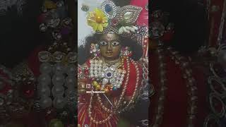 krishna Radha kanha vrindavan bihari ji 🙏 [upl. by Sherborne]