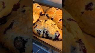 Blueberry Scones [upl. by Willamina]