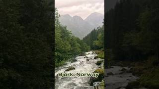 Bjørk Norway [upl. by Ainalem151]