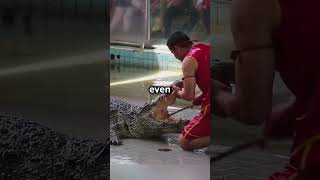 Man Befriends DEADLY Crocodile The Unbelievable True Story [upl. by Inaleon]