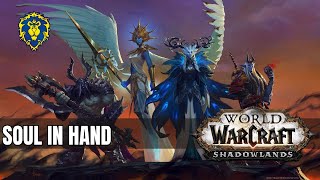 WoW Shadowlands  Alliance Quests  Soul in Hand [upl. by Elhsa]