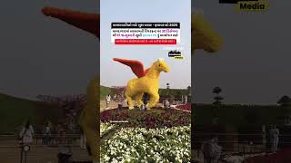 Flower show 2025  riverfront flower show Ahmedabad 2025  flower show flowershow2025ahmedabad [upl. by Aohsoj]