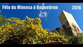 Fête du Mimosa à Roquebrun 14022016 [upl. by Rapsac]