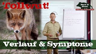 Tollwut  Verlauf und Symptome  Back to Hunt [upl. by Magill]