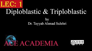 Diploblastic and Triploblastic  Chapter 10 Animalia Lec 1  Zoology  Biology  ACE Academia [upl. by Nnylecyoj]