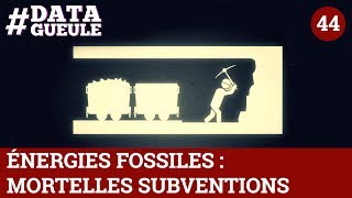 Énergies fossiles  mortelles subventions  DATAGUEULE 44 [upl. by Nahraf]