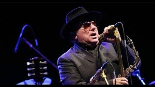 Van Morrison Concert Live Footage 2017 [upl. by Cristi]