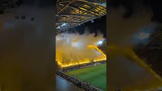 Dynamo Dresden shows why their fans are one of the best not only in Germany but also in Europe [upl. by Lora346]