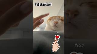 Cat skin care [upl. by Eresed]