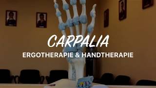 CARPALIA  Praxis für Ergotherapie amp Handtherapie [upl. by Aicrag]