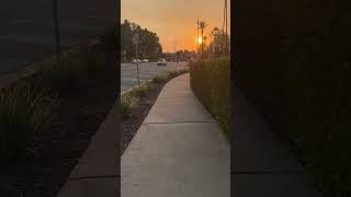 Redlands California california shortsvideo [upl. by Reltuc]