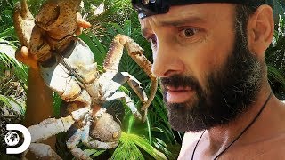 Ed Stafford busca novos recursos na ilha de Olorua  Nu e Abandonado  Discovery Brasil [upl. by Waterer]