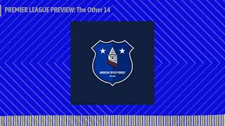 PREMIER LEAGUE PREVIEW The Other 14  American Toffee Podcast [upl. by Einohtna]