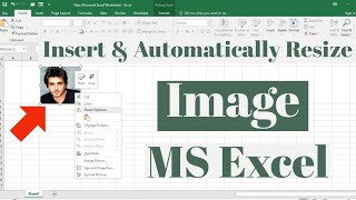 How to Insert and Automatically Resize an Image in Microsoft Excel  Adjust Image inside Excel Cell [upl. by Barmen162]