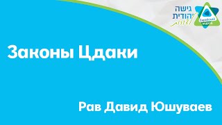 Законы Цдаки с Рав Давидом Юшуваевым [upl. by Neelak32]