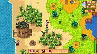 Who to give Pirates Locket  Stardew Valley [upl. by Annoit]