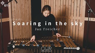 Soaring in the sky by Jan Freicher Vibraphone solo [upl. by Ahsimac]