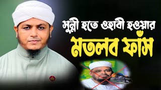 সুন্নী হতে ওহাবী হওয়ার মতলব ফাঁস।। মুফতি মোতালেব সালেহী।।Hera TV।। Monir Razavi।। waz2024 [upl. by Rogerg]