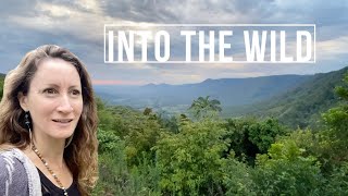 Travelling Australia  Must See Places  Eungella National Park [upl. by Ratha]