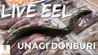 Homemade Eel Food Recipe  Get Your Eel Fat amp Healthy Today [upl. by Aluk]