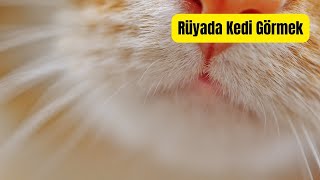 Rüyada Kedi Görmek rüyatabirleri rüyayorumu rüyayorumları ruyayorumu rüyadakedigörmek [upl. by Selwin106]