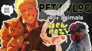 ALL MY ANIMALS IN ONE VIDEO 📸 [upl. by Adnahs181]