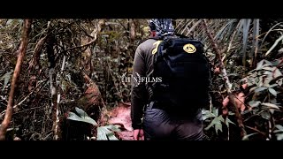 Mountain Hiking  Gunung Ledang Johor  Malaysia  4K [upl. by Philbin]