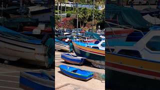 Camara de Lobos Madeira Portugal travel walking madeira portugal [upl. by Huang246]