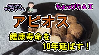 世界三大健康野菜のひとつ，栄養満点のアピオスの紹介と話題のチャットＧＰＴとグーグルアースの実力を診断 [upl. by Spearing]