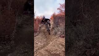 Tannus en el Bosque Seguridad Total MTB1 [upl. by Atteynod644]