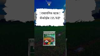 Indofil m45 fungicide farmer agriculture shetakari farming motivation [upl. by Attirehs]