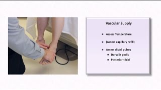 The Diabetic Foot Exam [upl. by Letitia988]