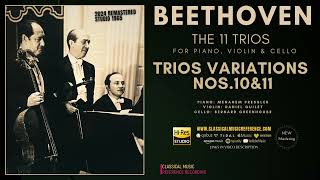 Beethoven Trios Variations No 10 Op 44 amp No 11 Op 121a  Remastered rfrc Beaux Arts Trio [upl. by Aika923]