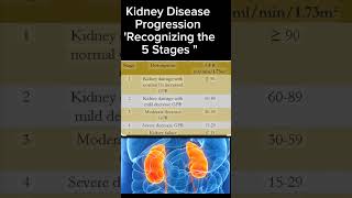 Kidney Disease Progression Recognizing the 5 Stages kidney healthytips shortsbeta DrSaimakhan [upl. by Andra]