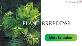 Mass Selection  Plant breeding techniques [upl. by Kenwood323]