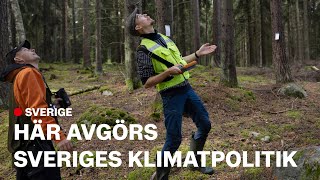 Skogen fångar mindre koldioxid – kan ge högre bensinpris [upl. by Nilram]