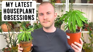 My Latest Houseplant Obsessions [upl. by Ardnauqal]